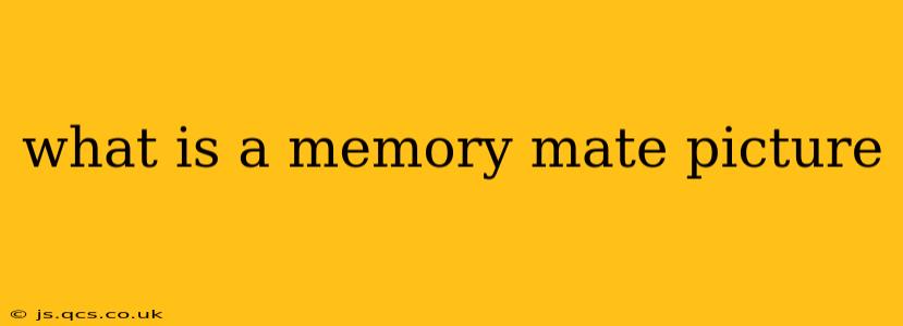what is a memory mate picture