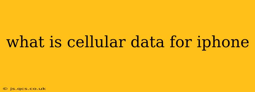 what is cellular data for iphone