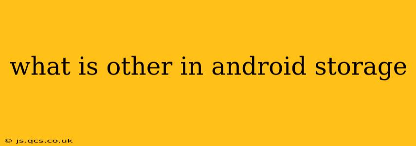 what is other in android storage