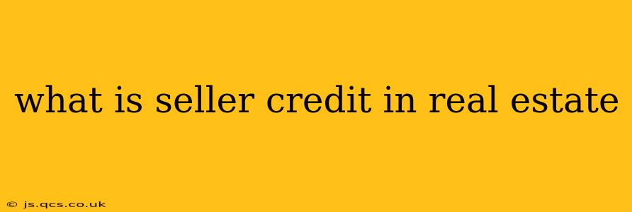 what is seller credit in real estate