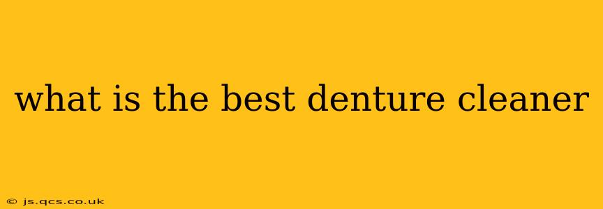 what is the best denture cleaner