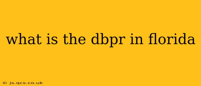 what is the dbpr in florida