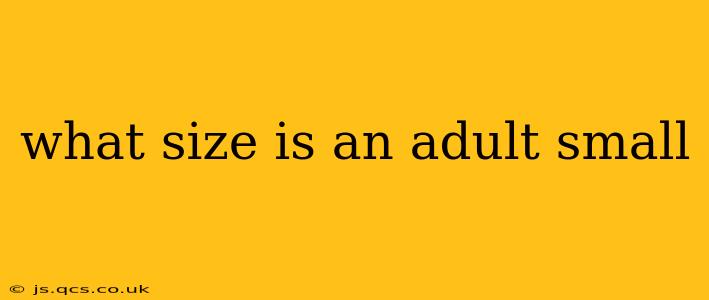 what size is an adult small