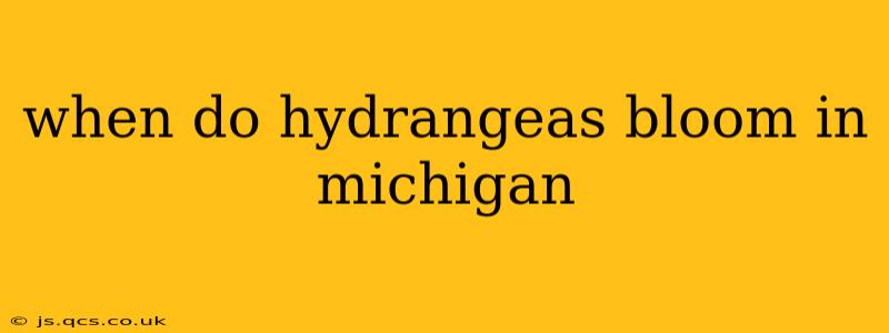 when do hydrangeas bloom in michigan