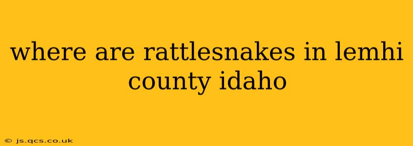 where are rattlesnakes in lemhi county idaho