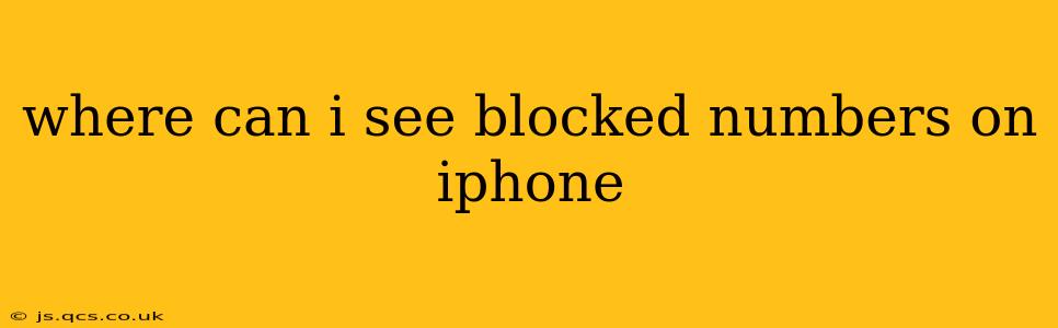 where can i see blocked numbers on iphone