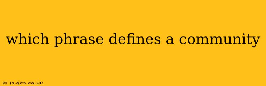 which phrase defines a community