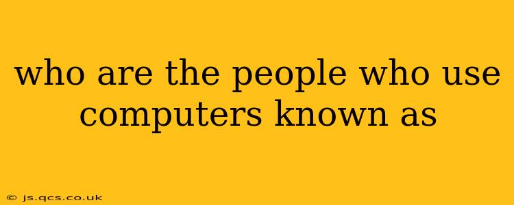 who are the people who use computers known as