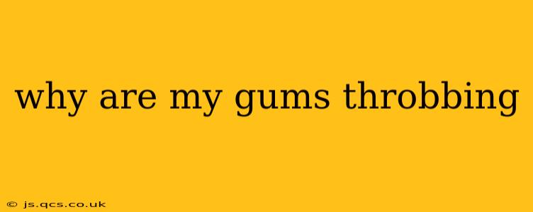 why are my gums throbbing