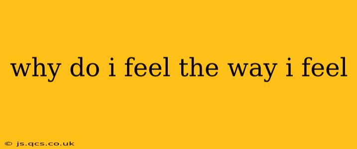 why do i feel the way i feel