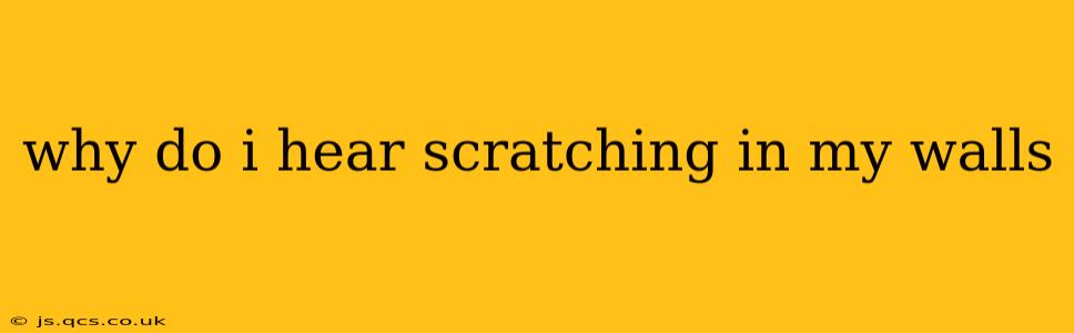 why do i hear scratching in my walls