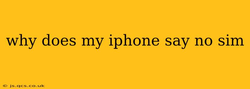 why does my iphone say no sim