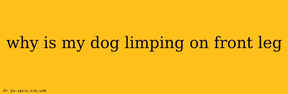 why is my dog limping on front leg