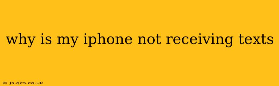 why is my iphone not receiving texts