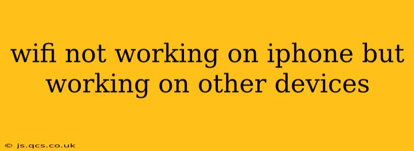 wifi not working on iphone but working on other devices
