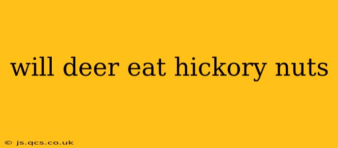 will deer eat hickory nuts