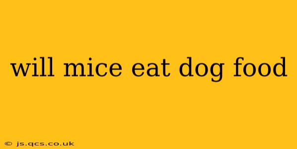 will mice eat dog food