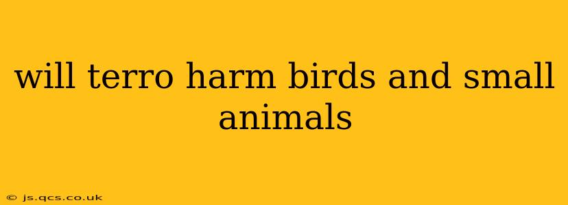will terro harm birds and small animals