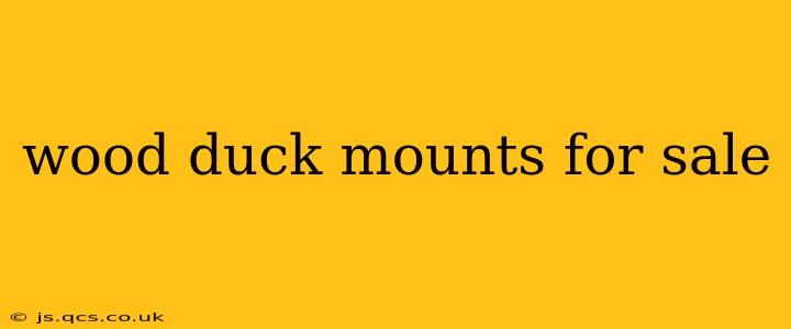 wood duck mounts for sale