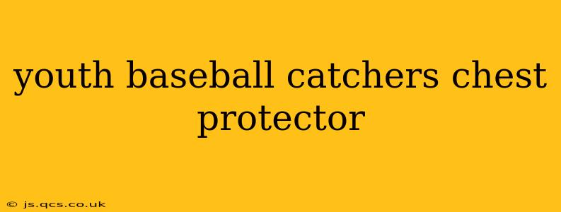 youth baseball catchers chest protector