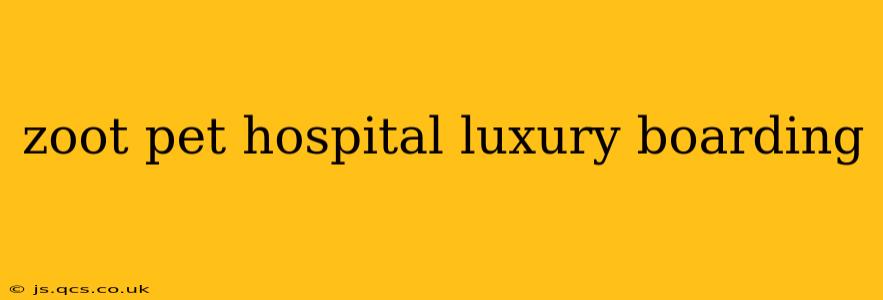 zoot pet hospital luxury boarding