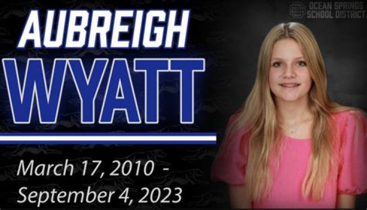 Unveiling The Impact Of Aubreigh Wyatt Bully Names